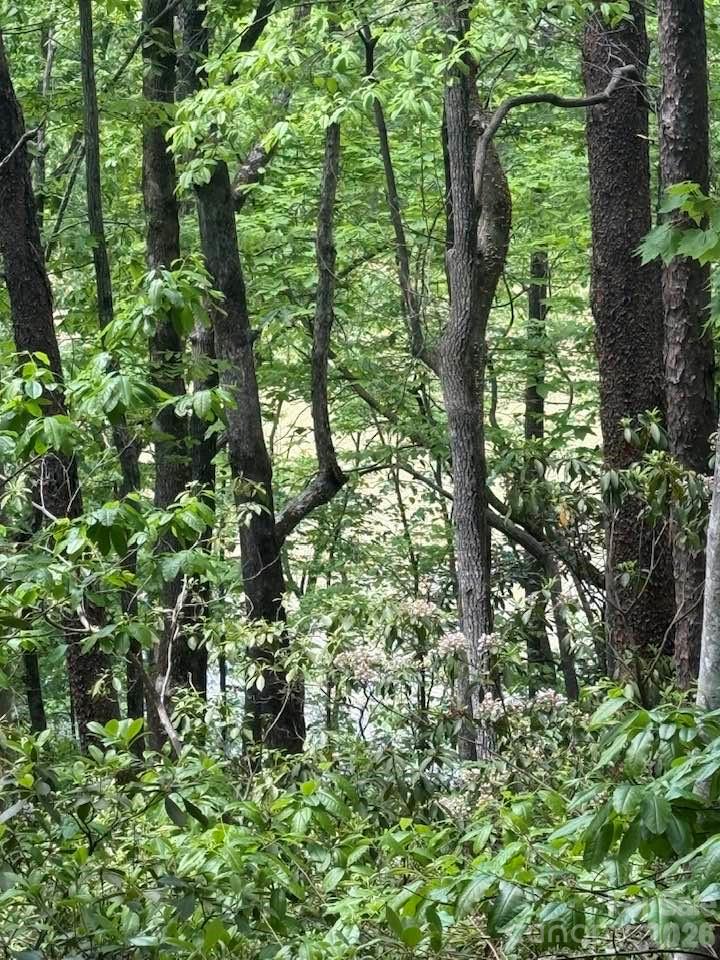 00 Canoe Drive Mill Spring NC 28756