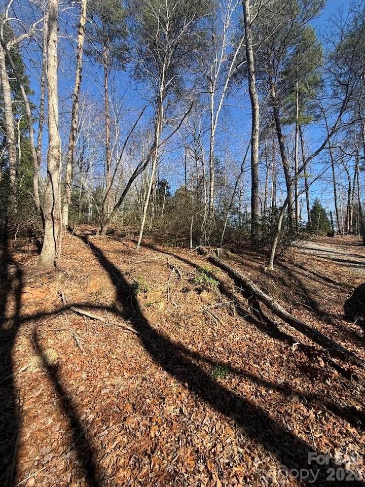 00 Canoe Drive Mill Spring NC 28756