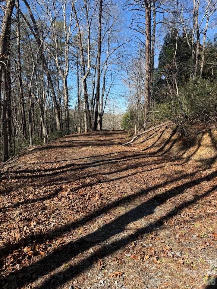 00 Canoe Drive Mill Spring NC 28756