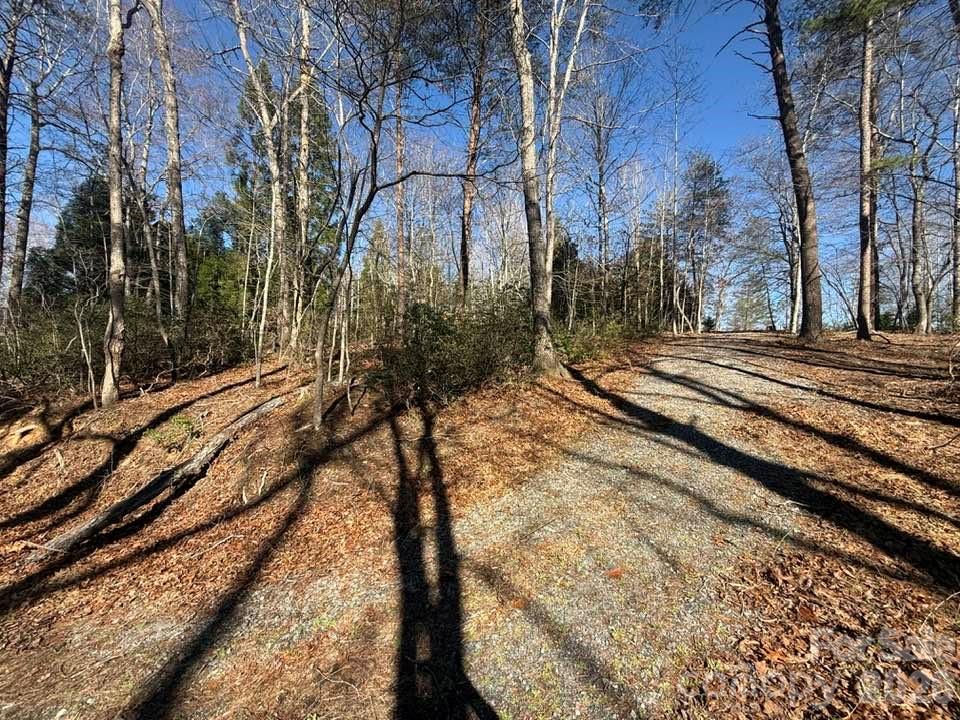 00 Canoe Drive Mill Spring NC 28756