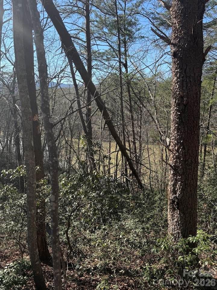 00 Canoe Drive Mill Spring NC 28756