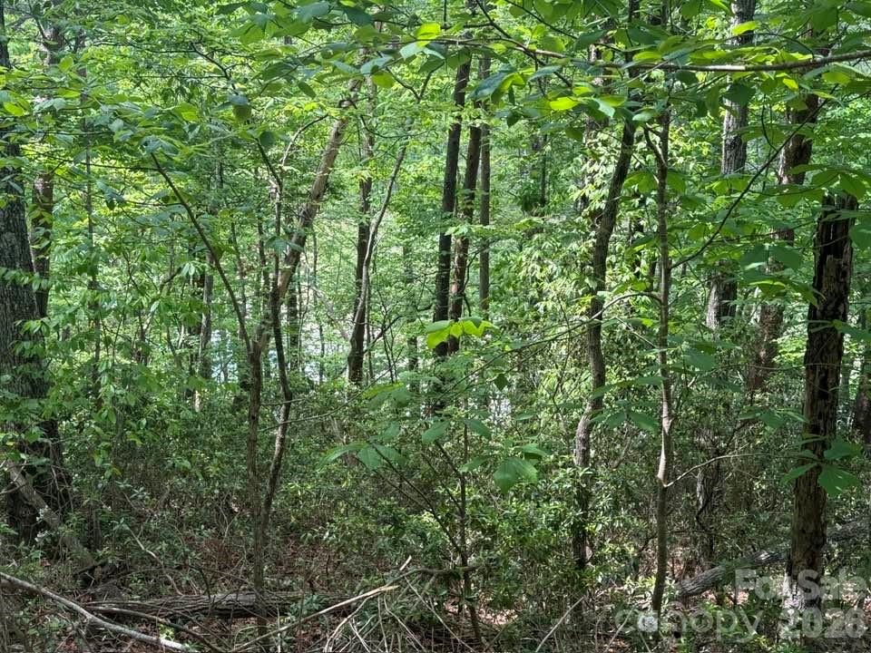 00 Canoe Drive Mill Spring NC 28756