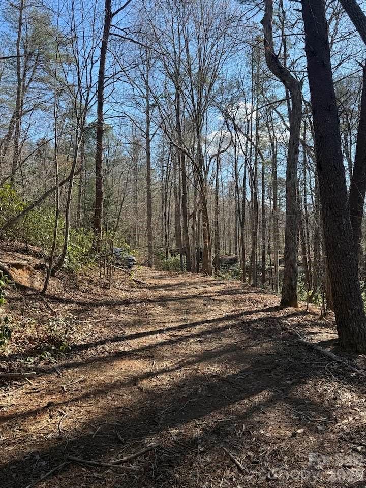 00 Canoe Drive Mill Spring NC 28756