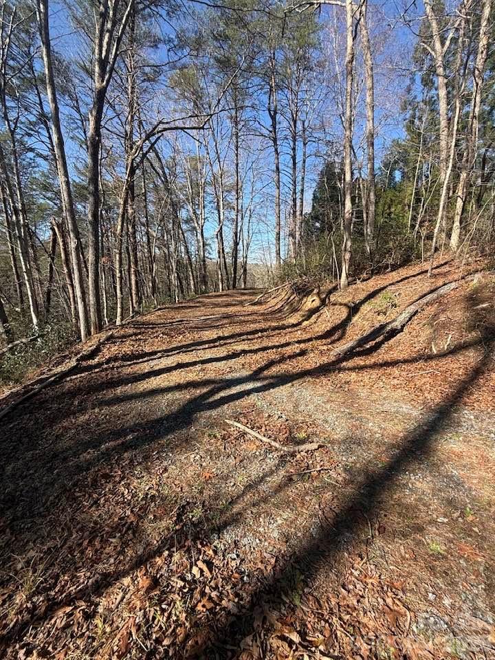 00 Canoe Drive Mill Spring NC 28756