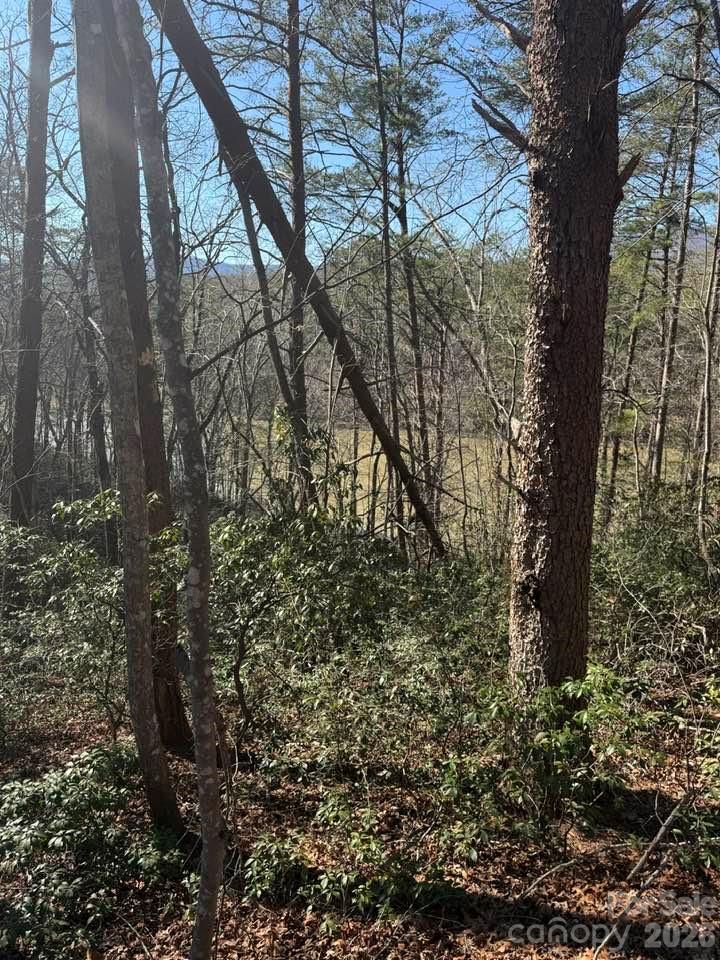 00 Canoe Drive Mill Spring NC 28756