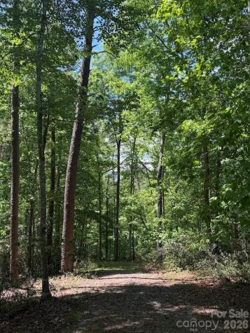 00 Canoe Drive Mill Spring NC 28756