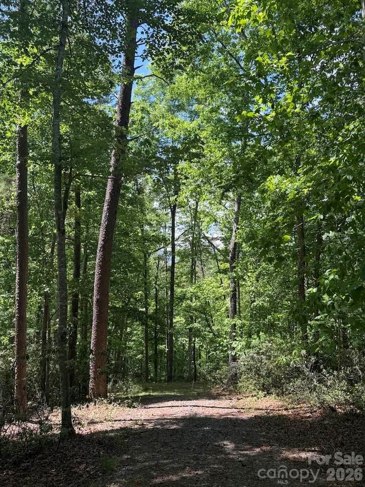00 Canoe Drive Mill Spring NC 28756