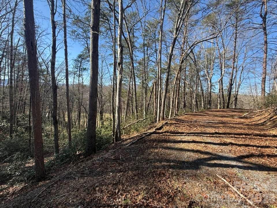 00 Canoe Drive Mill Spring NC 28756