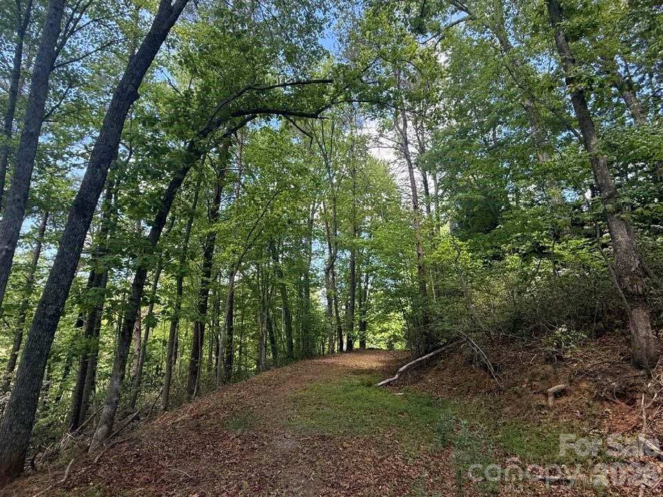 00 Canoe Drive Mill Spring NC 28756