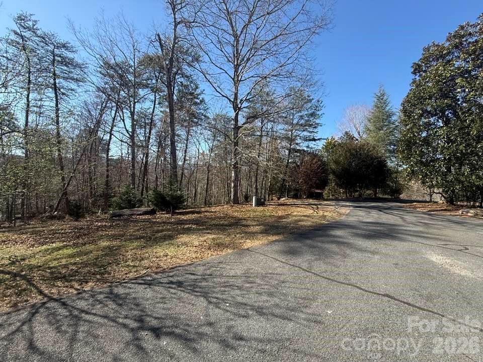 00 Canoe Drive Mill Spring NC 28756