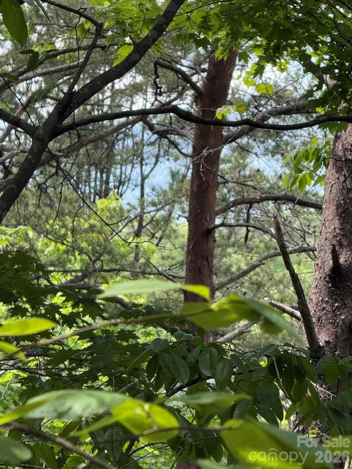 00 Canoe Drive Mill Spring NC 28756