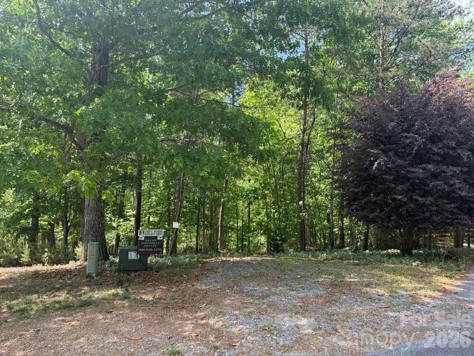 00 Canoe Drive Mill Spring NC 28756