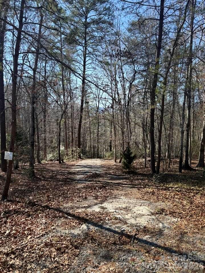 00 Canoe Drive Mill Spring NC 28756