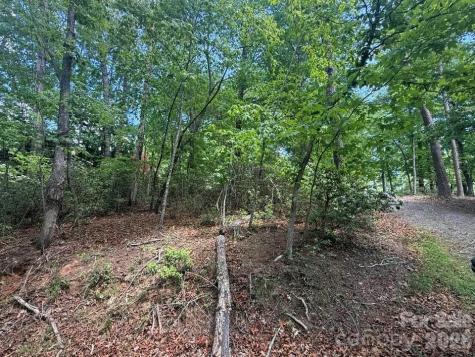 00 Canoe Drive Mill Spring NC 28756