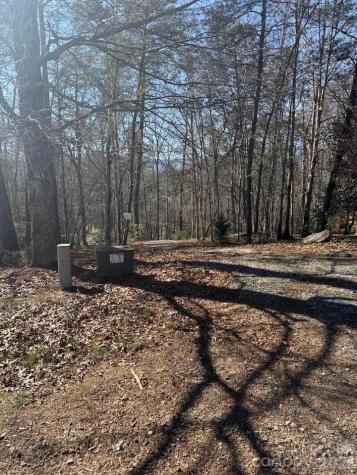 00 Canoe Drive Mill Spring NC 28756