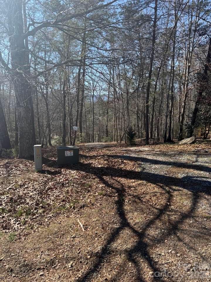 00 Canoe Drive Mill Spring NC 28756