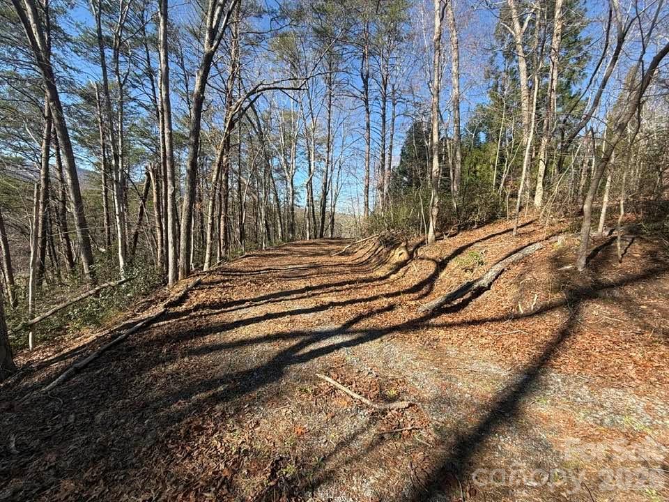 00 Canoe Drive Mill Spring NC 28756