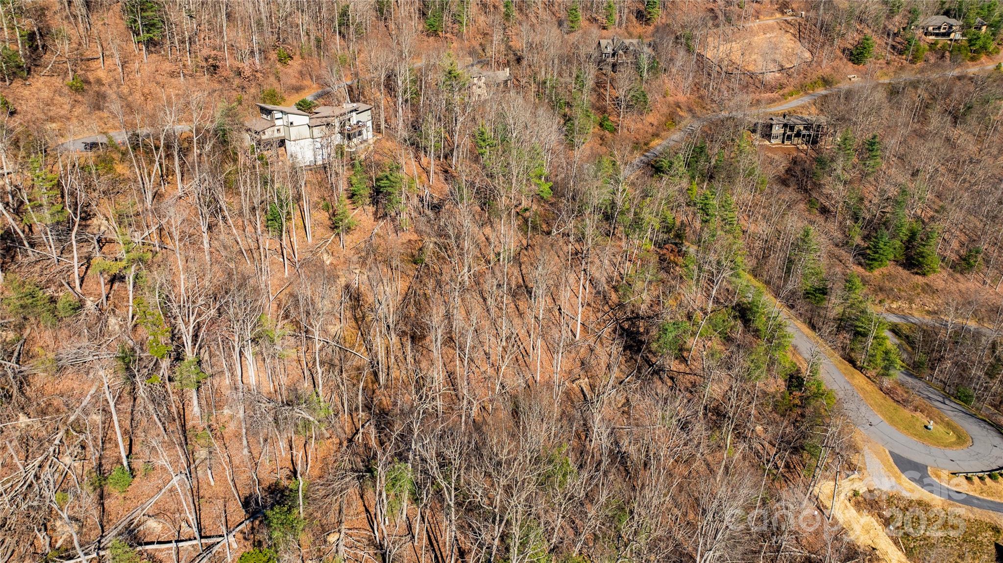 56 Finch Drive Asheville NC 28804