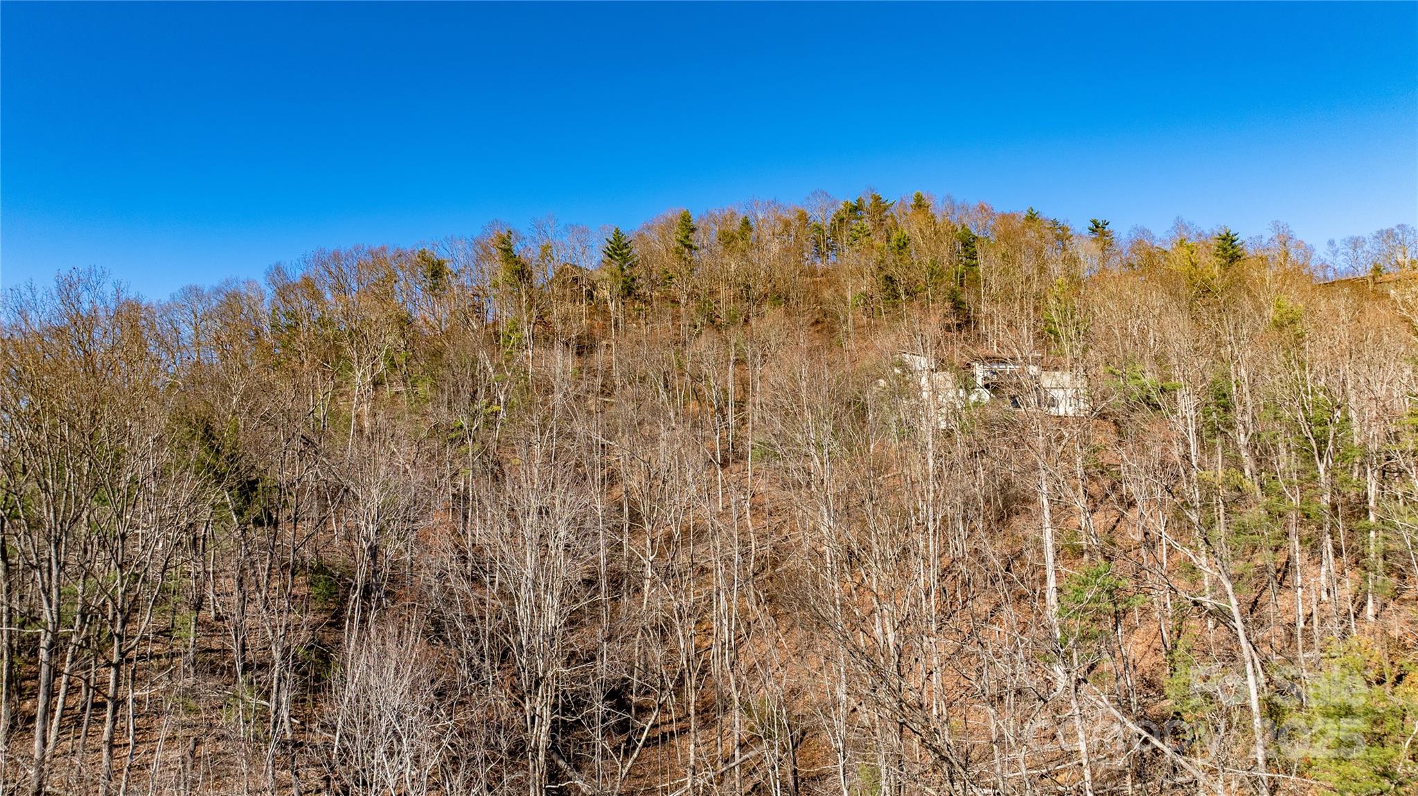 56 Finch Drive Asheville NC 28804