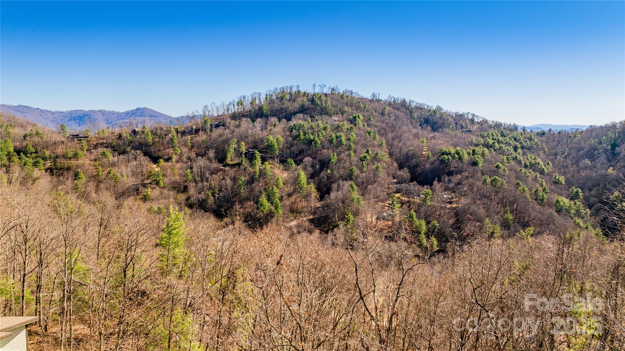 56 Finch Drive Asheville NC 28804