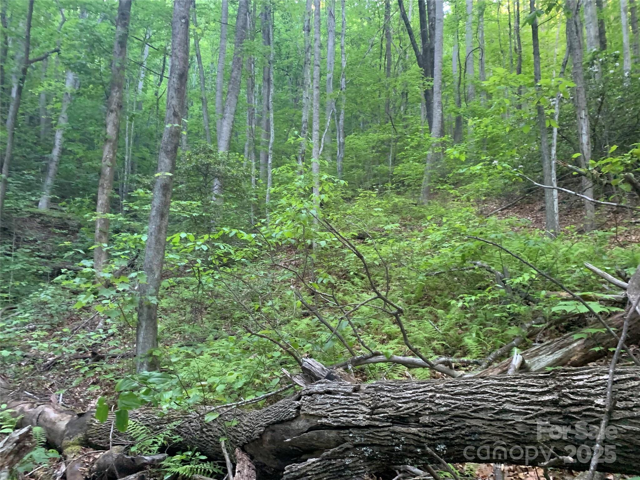 5 Friar Tuck Lane Maggie Valley NC 28751