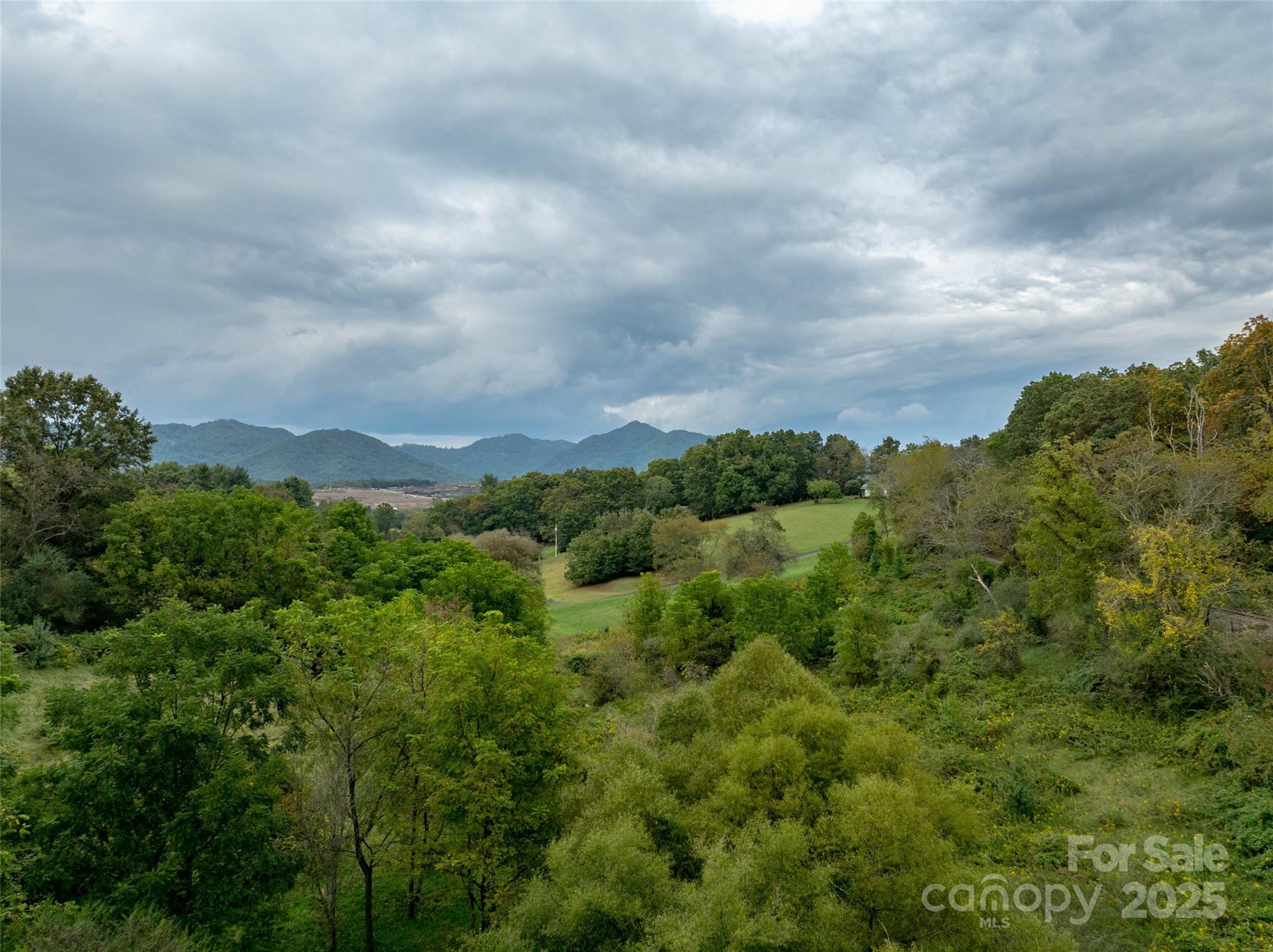 99999 Old Clyde Road Canton NC 28716
