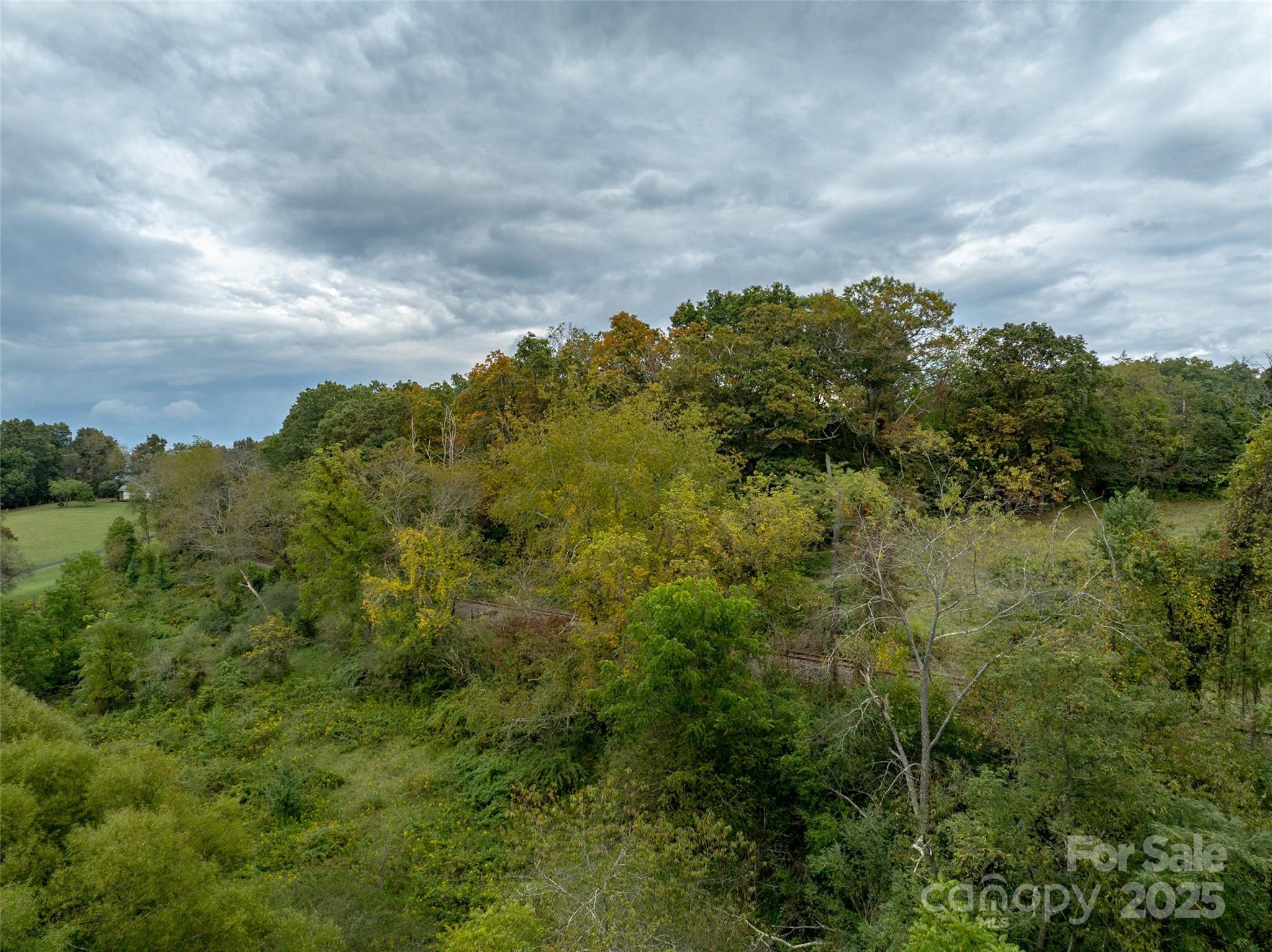 99999 Old Clyde Road Canton NC 28716