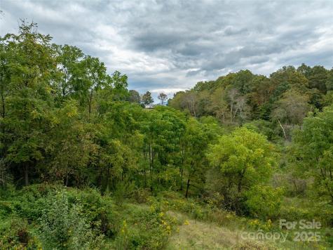99999 Old Clyde Road Canton NC 28716