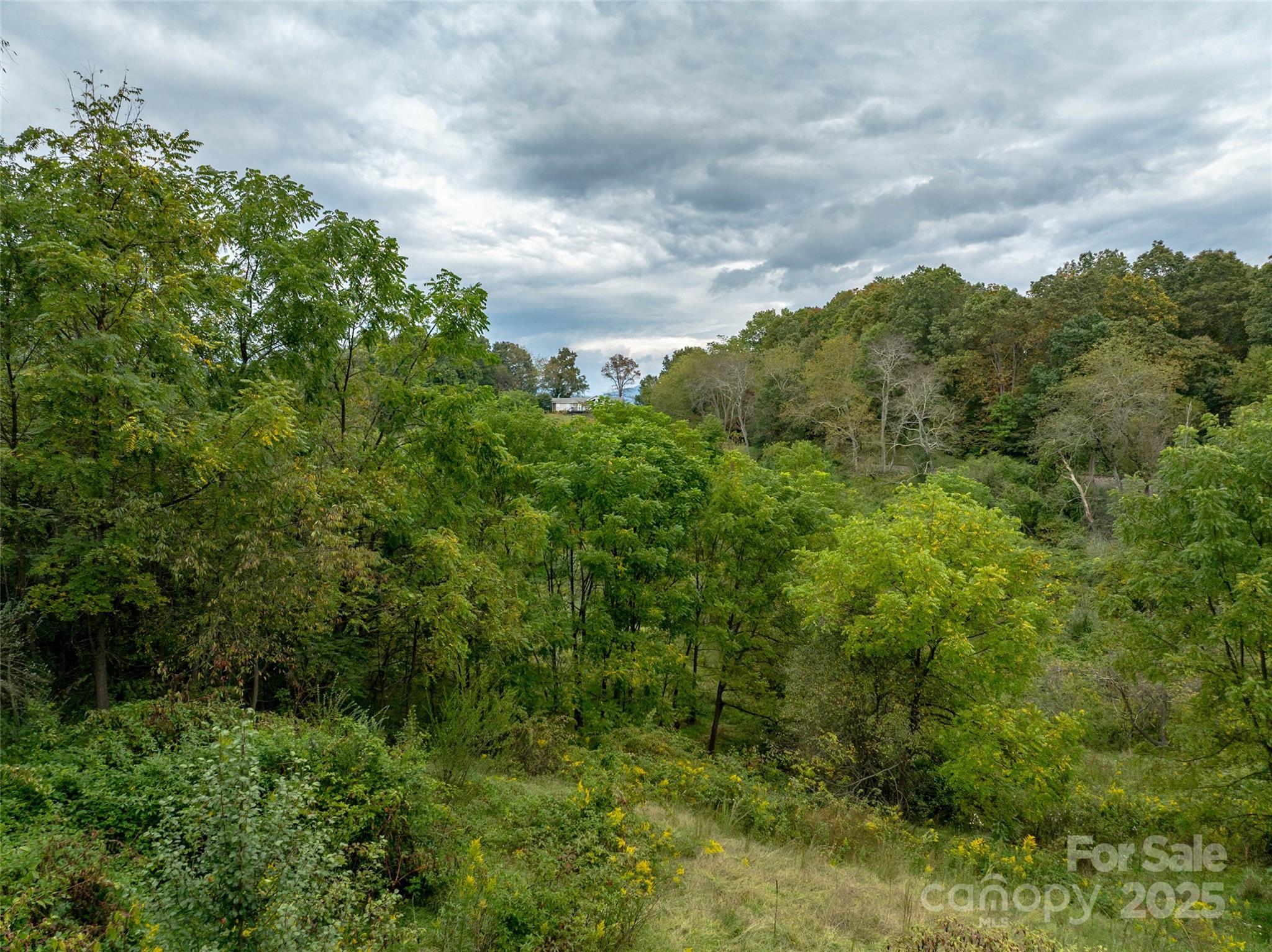 99999 Old Clyde Road Canton NC 28716