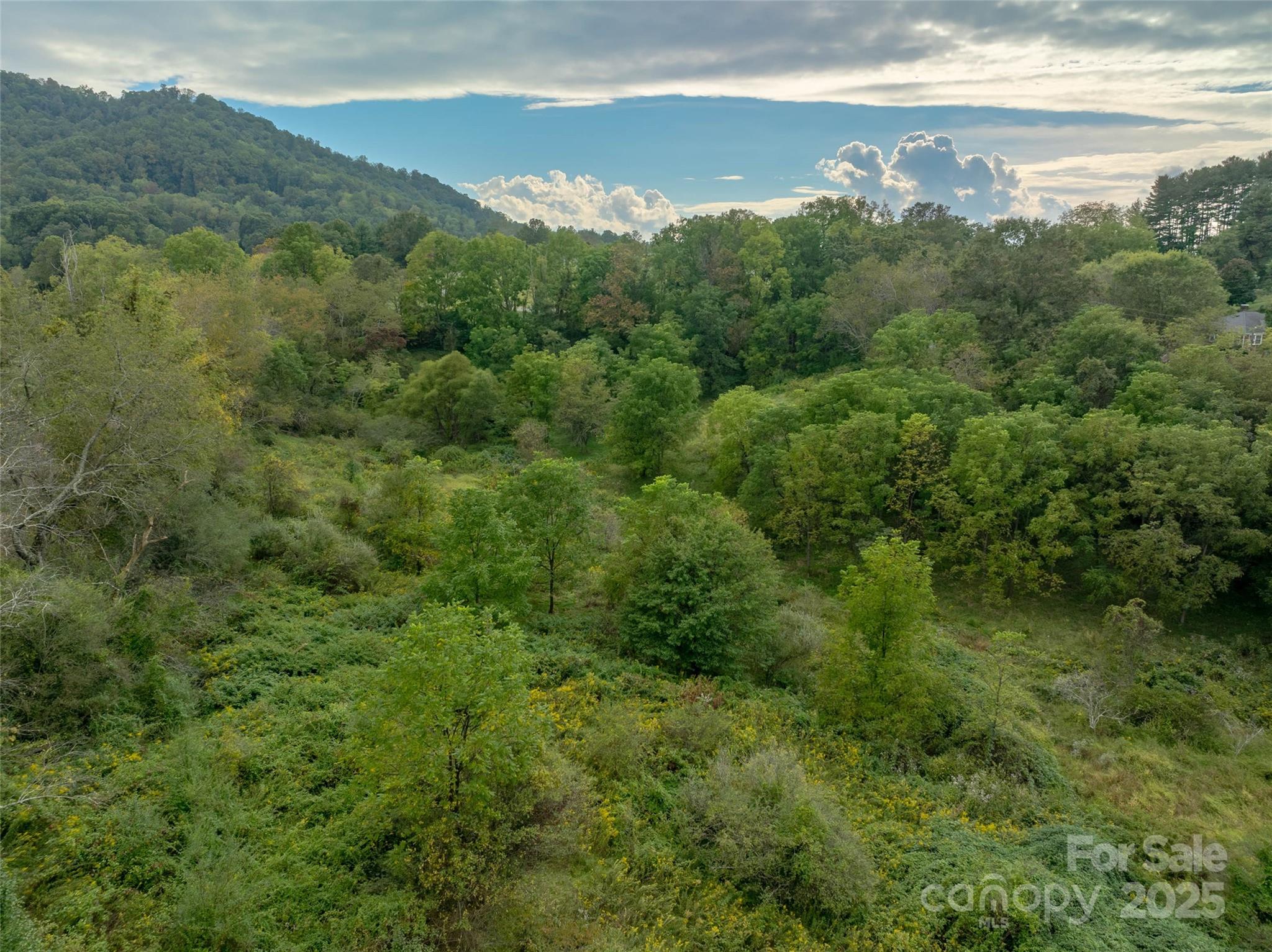 99999 Old Clyde Road Canton NC 28716