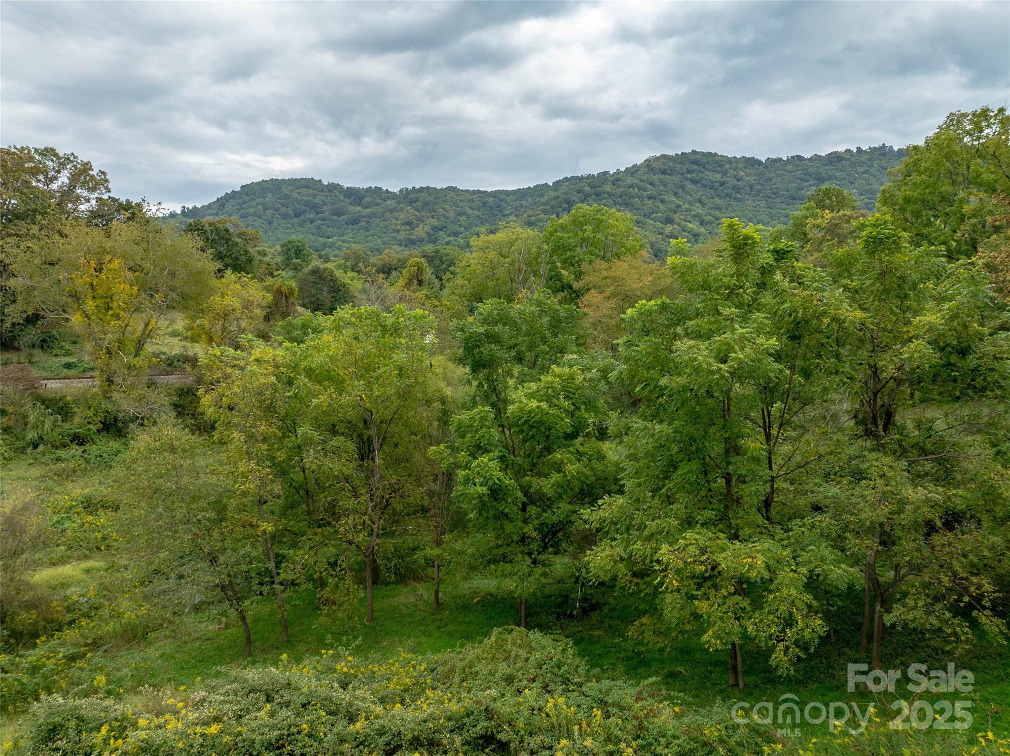 99999 Old Clyde Road Canton NC 28716