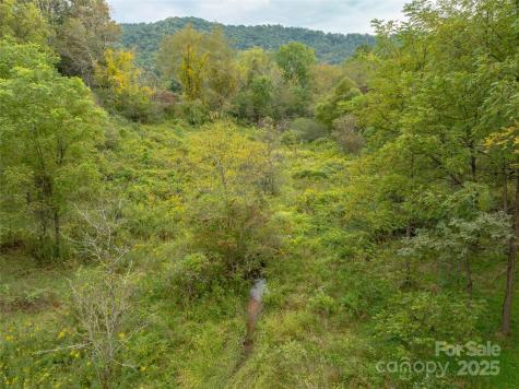 99999 Old Clyde Road Canton NC 28716