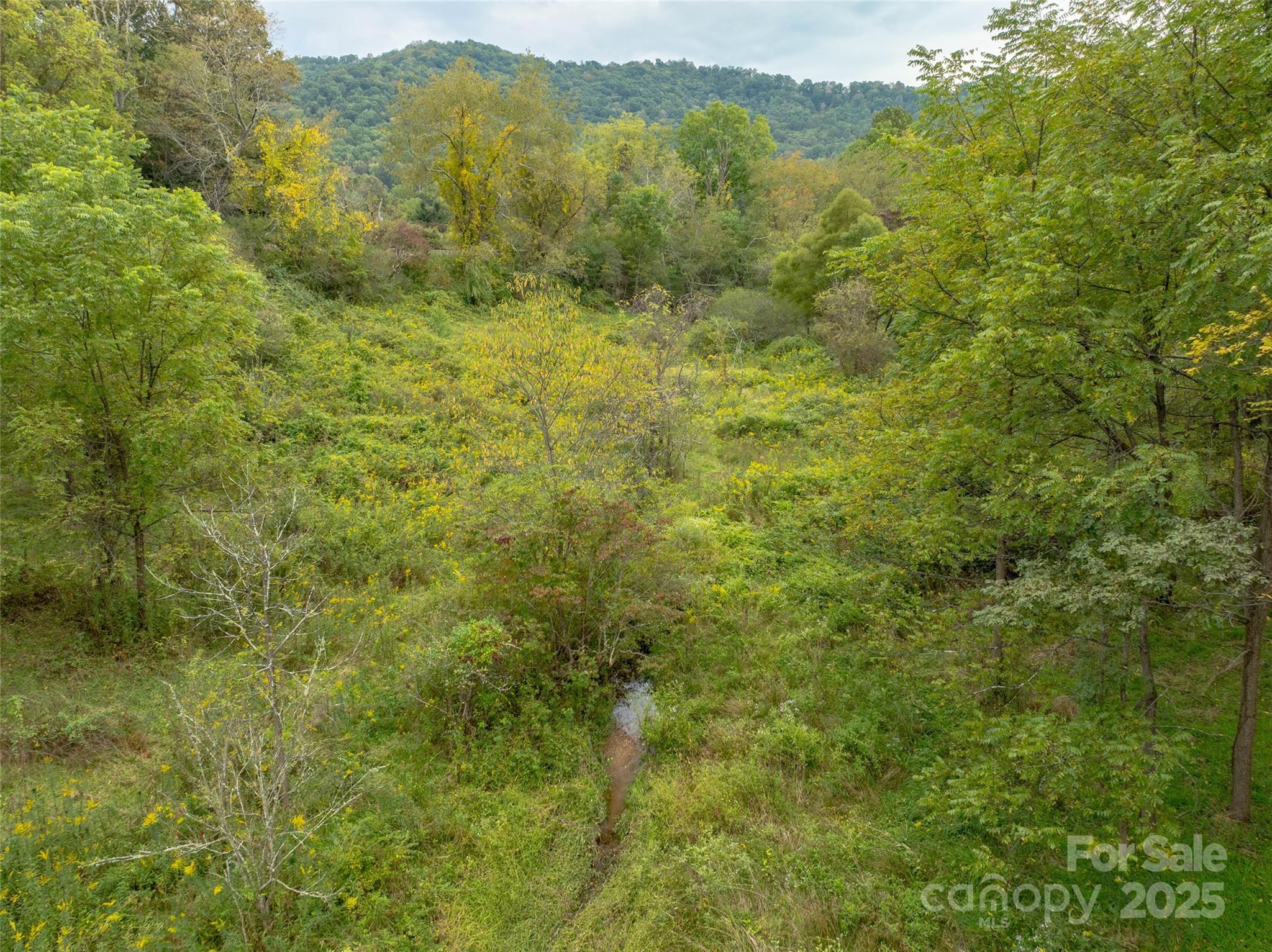 99999 Old Clyde Road Canton NC 28716