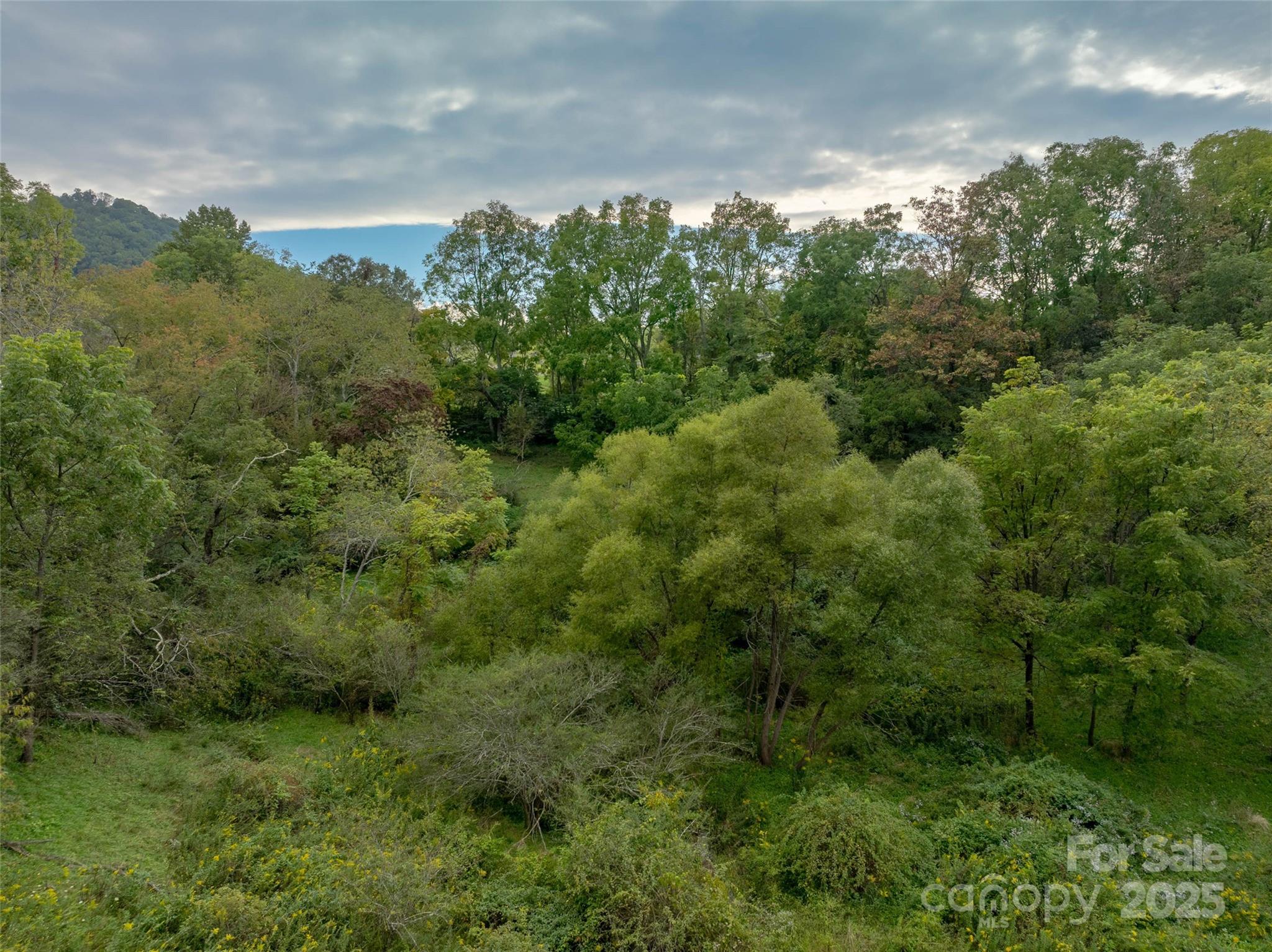 99999 Old Clyde Road Canton NC 28716