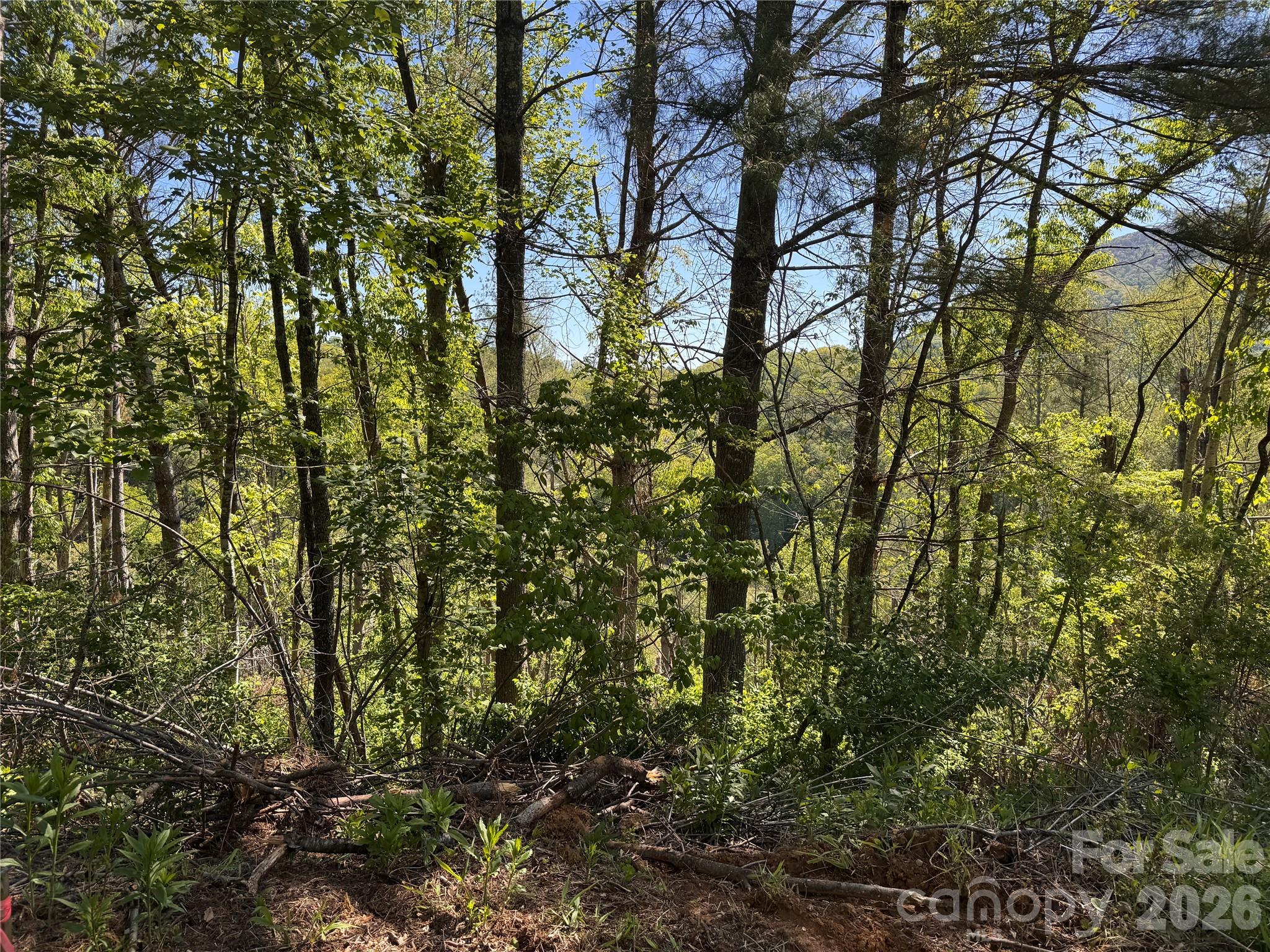 00 River Rock Road Warrensville NC 28693