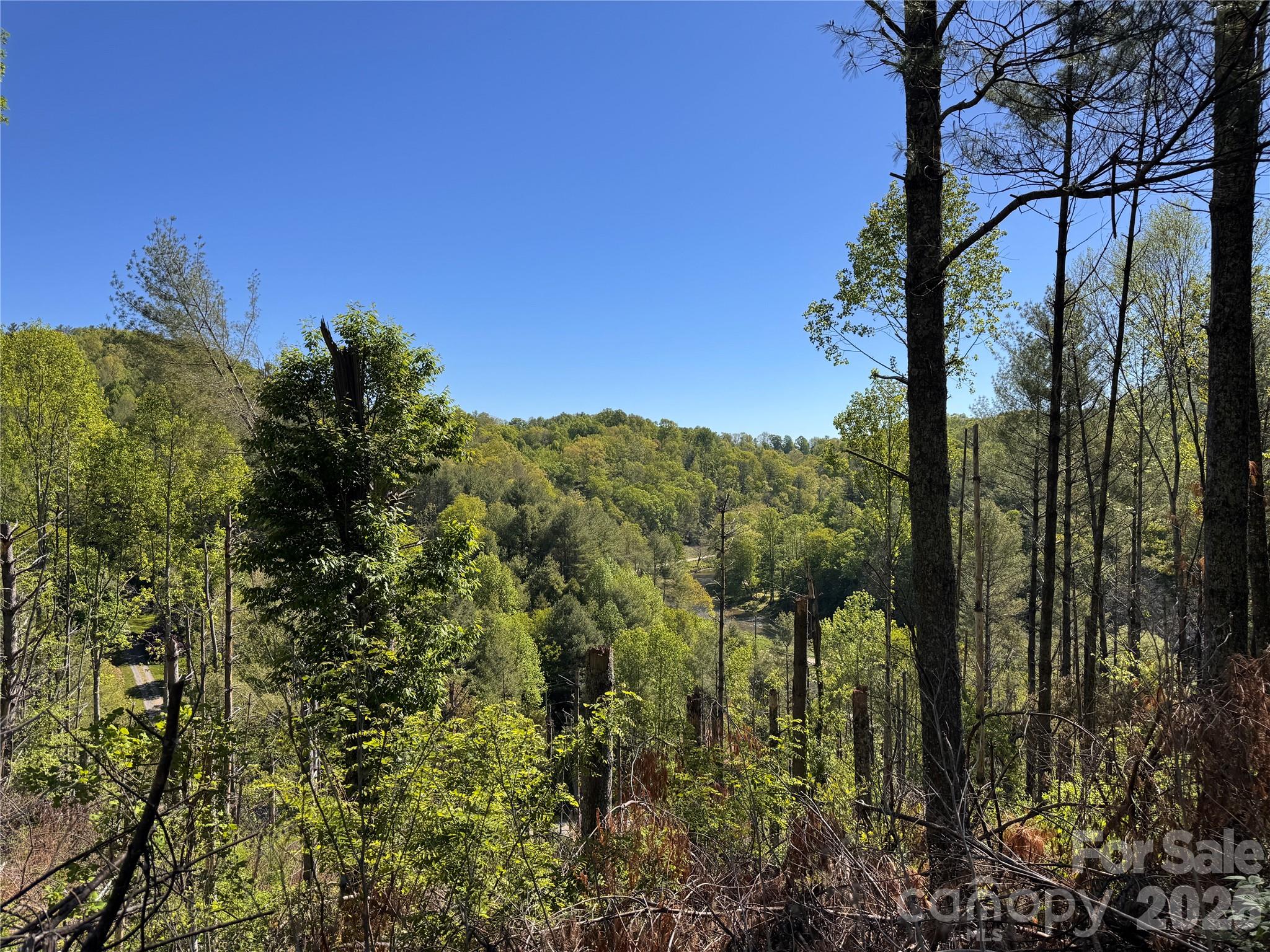 00 River Rock Road Warrensville NC 28693