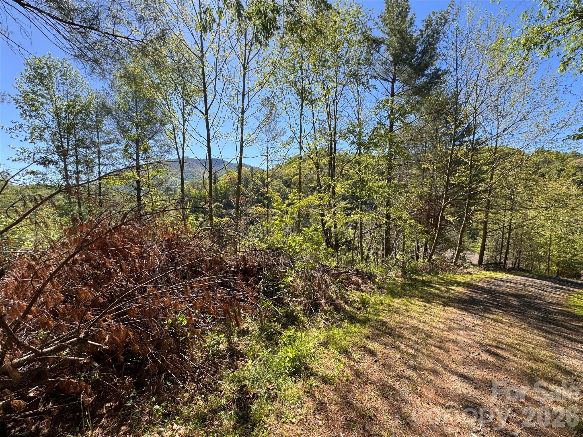 00 River Rock Road Warrensville NC 28693