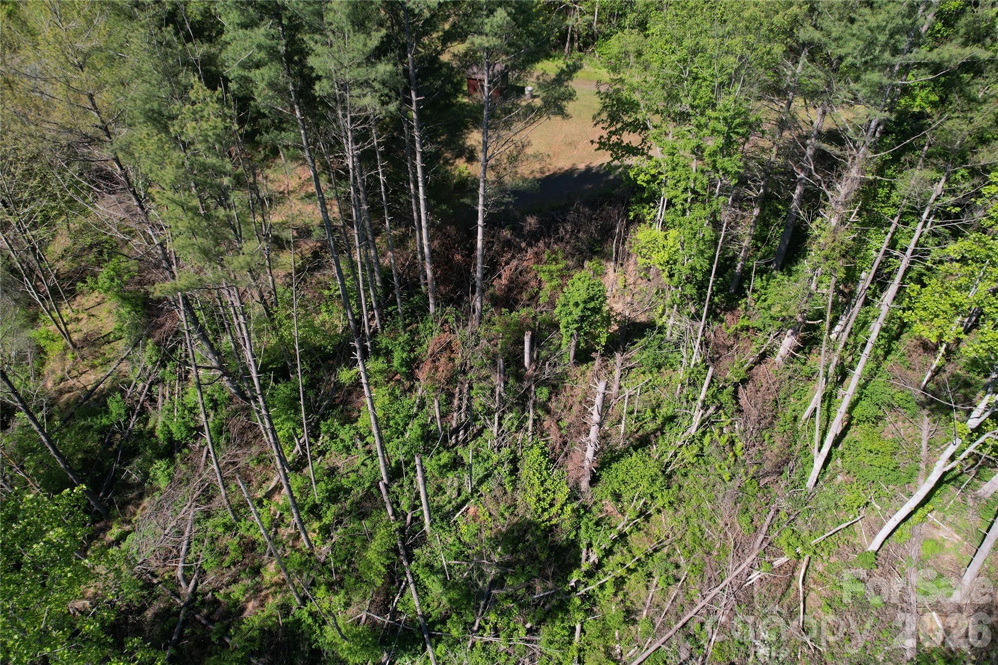 00 River Rock Road Warrensville NC 28693