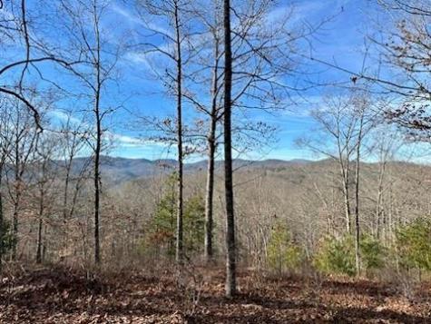 305 Raccoon Run Marshall NC 28753