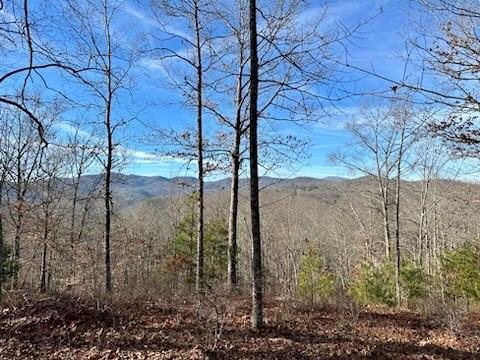305 Raccoon Run Marshall NC 28753