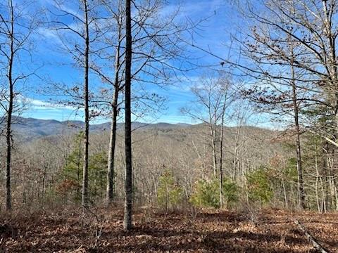 305 Raccoon Run Marshall NC 28753