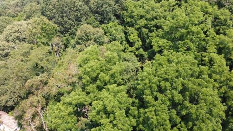 Tbd England Road Canton NC 28716