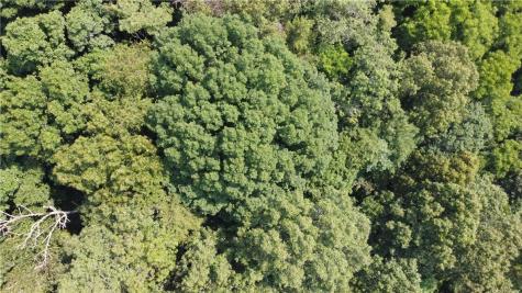 Tbd England Road Canton NC 28716