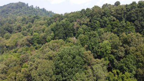 Tbd England Road Canton NC 28716