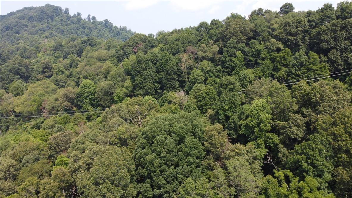 Tbd England Road Canton NC 28716