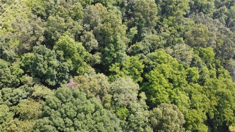 Tbd England Road Canton NC 28716