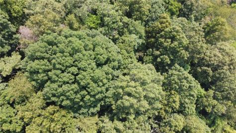 Tbd England Road Canton NC 28716