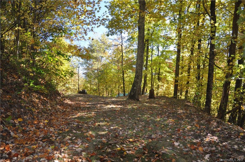 250 White Oak Way Hot Springs NC 28743