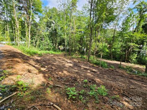 000 Dolan Road Waynesville NC 28786