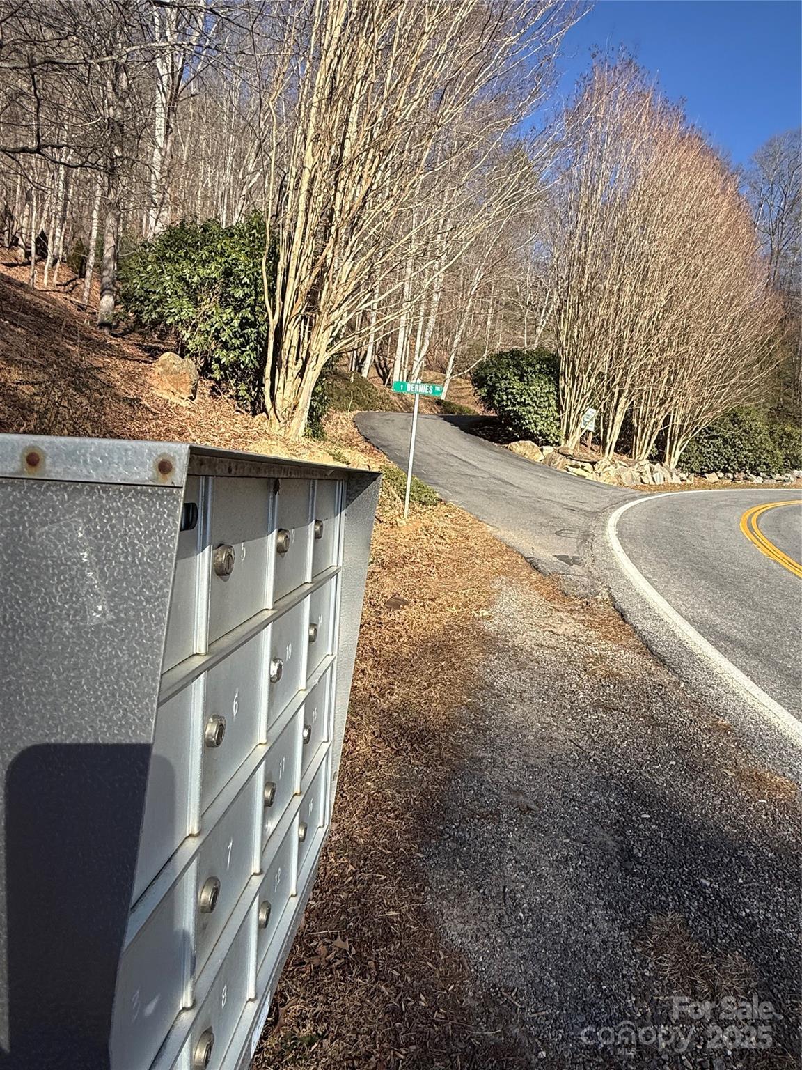 Lot 23 Thumper Trail Waynesville NC 28785